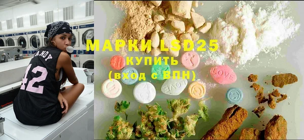 PSILOCYBIN Аркадак