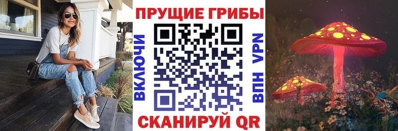 наркотики  Тобольск  кракен сайт  Галлюциногенные грибы ЛСД 